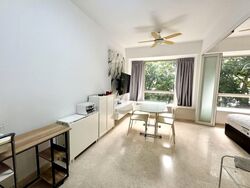 Flamingo Valley (D15), Condominium #567696621